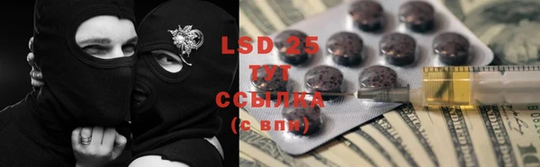 ECSTASY Пересвет