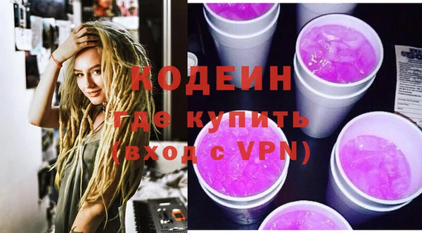 ECSTASY Пересвет