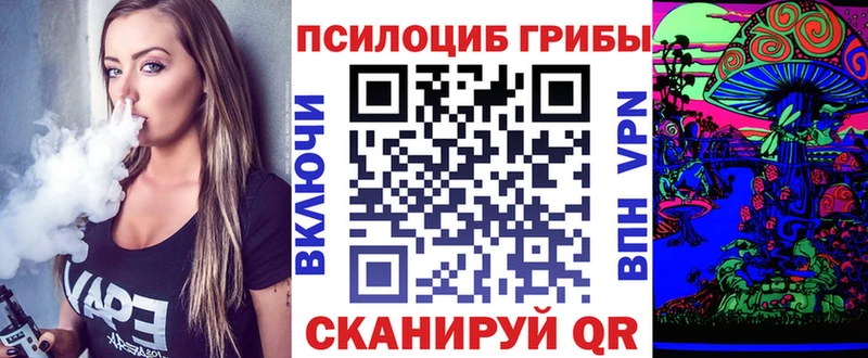 Псилоцибиновые грибы GOLDEN TEACHER  Яхрома 